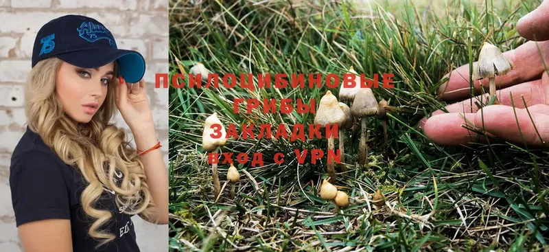 Псилоцибиновые грибы MAGIC MUSHROOMS  купить наркотик  Оханск 